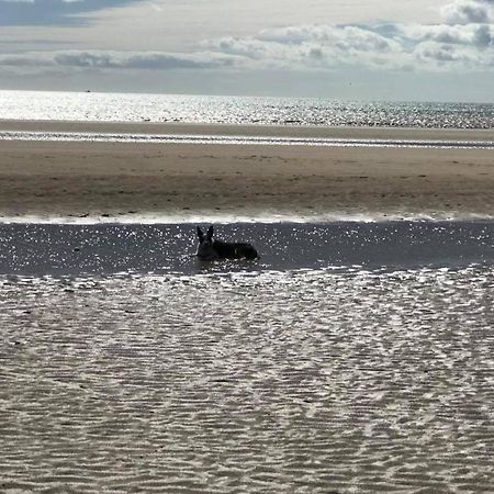 The Sun Trap @ Bridlington'S Bed & Bowl Beach Breaks别墅 外观 照片