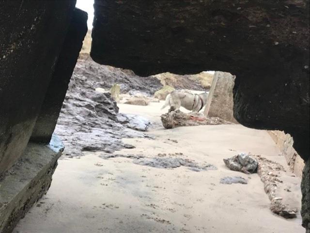 The Sun Trap @ Bridlington'S Bed & Bowl Beach Breaks别墅 外观 照片