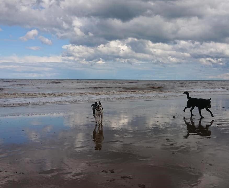 The Sun Trap @ Bridlington'S Bed & Bowl Beach Breaks别墅 外观 照片