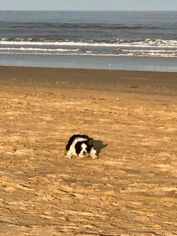 The Sun Trap @ Bridlington'S Bed & Bowl Beach Breaks别墅 外观 照片