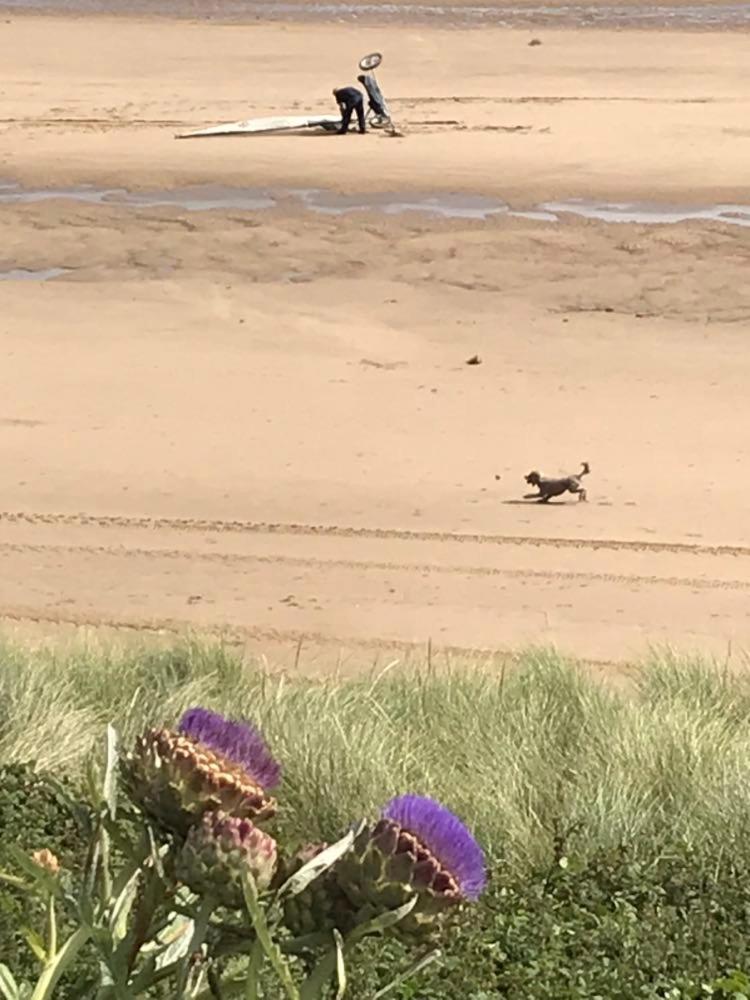 The Sun Trap @ Bridlington'S Bed & Bowl Beach Breaks别墅 外观 照片