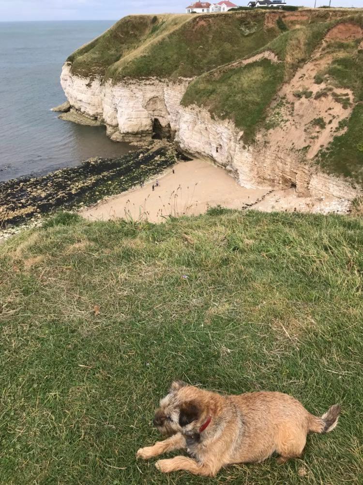 The Sun Trap @ Bridlington'S Bed & Bowl Beach Breaks别墅 外观 照片